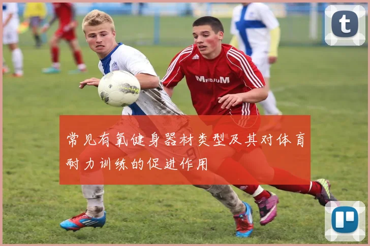 常见有氧健身器材类型及其对体育耐力训练的促进作用