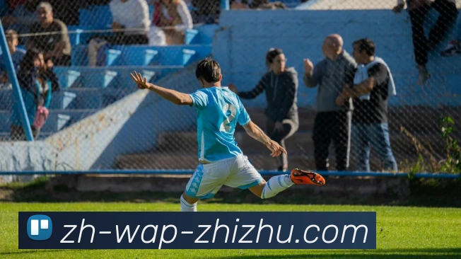 蜘蛛直播品牌故事