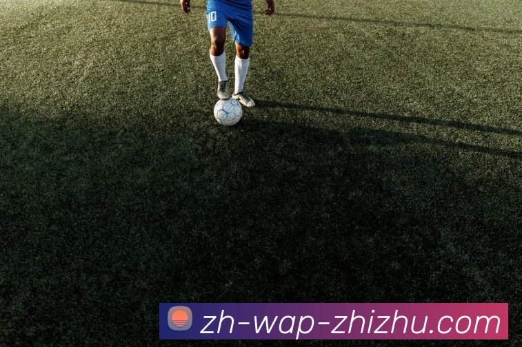 蜘蛛直播服务体系